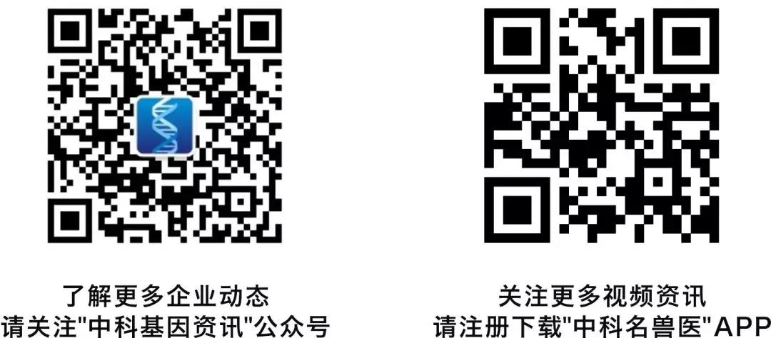 5eec80941b6dd.jpg 5eec80941b6dd.jpg